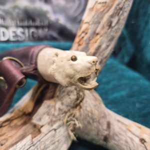 Susipuukko peuransarvea Hinta 2400€